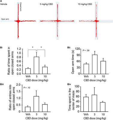 Cannabidiol Exposure During the Mouse Adolescent Period Is Without Harmful Behavioral Effects on Locomotor Activity, Anxiety, and Spatial Memory